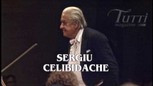 Celibidache - DVD Sony Classical